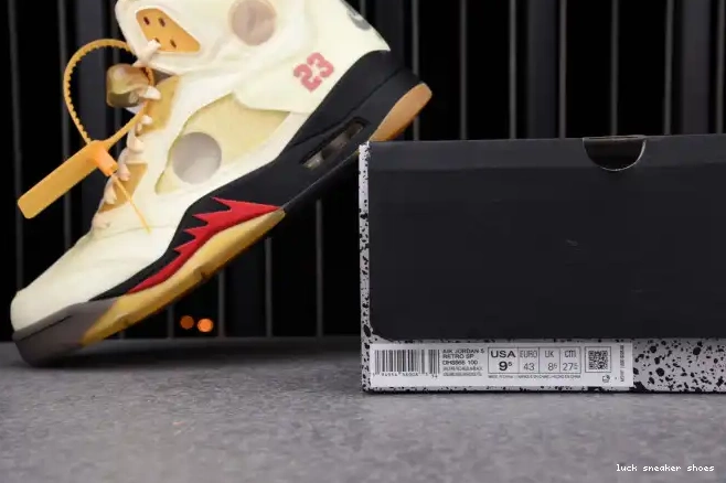 Reps LUCY 5 Jordan Retro DH8565-100 OFF-WHITE Sail 0624